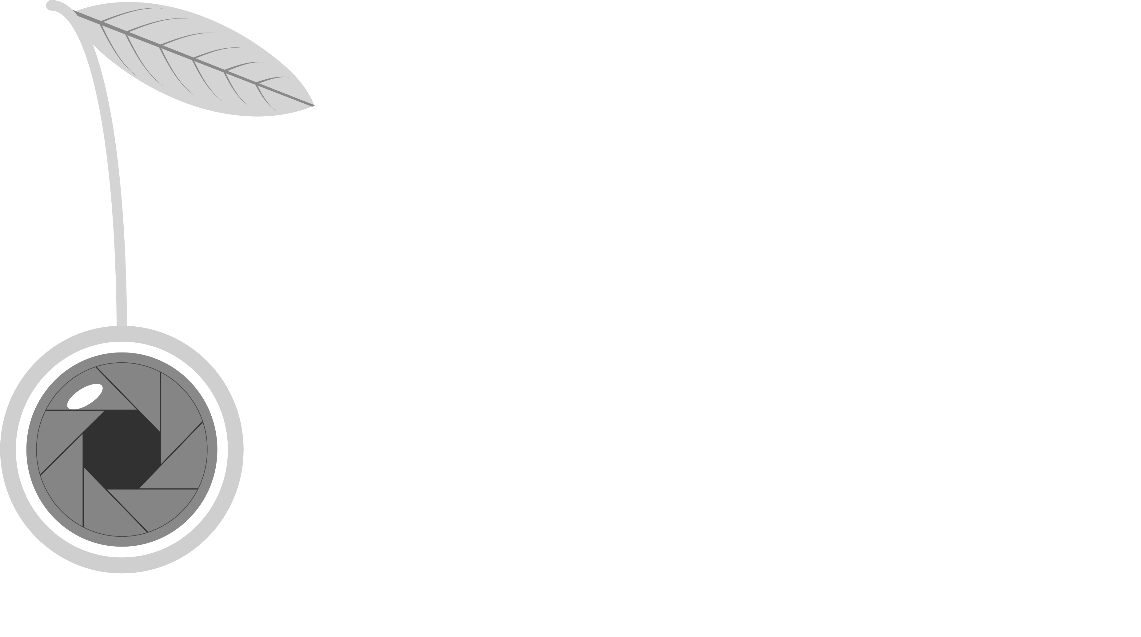 Logo Zugerfilmtage